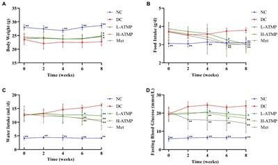 Acanthopanax trifoliatus (L.) Merr polysaccharides ameliorates hyperglycemia by regulating hepatic glycogen metabolism in type 2 diabetic mice